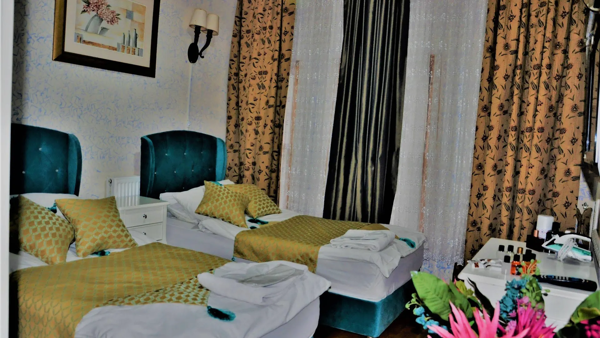 Hotel Istanbul The Trip Old City