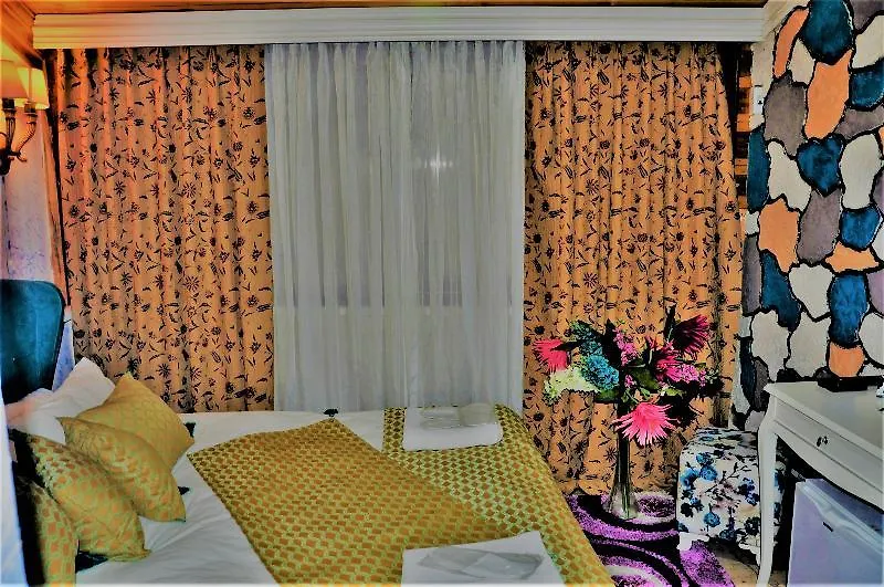 Hotel Istanbul The Trip Old City